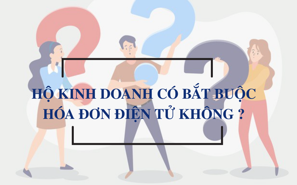 Hoa don dau vao la gi 5